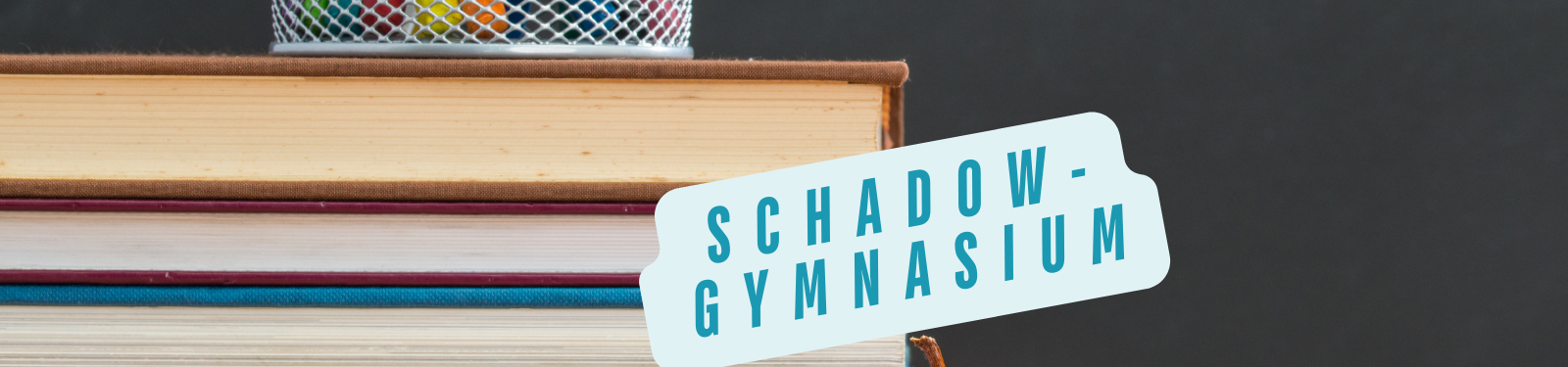 Stapel von Büchern mit einem Stiftehalter auf einem dunklen Hintergrund, daneben der Schriftzug 'Schadow-Gymnasium' in blauen Buchstaben auf einem hellblauen Hintergrund.
